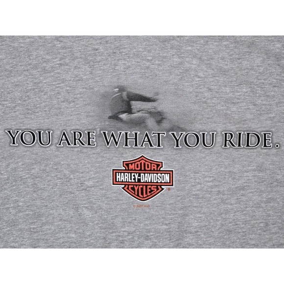 Harley Davidson Shirt Wasilla Alaska Mens Size Large 2007 Denali Gray NWT NEW